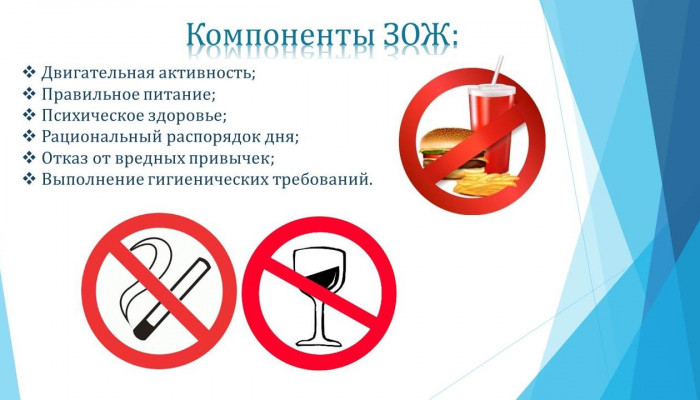 Слайд5