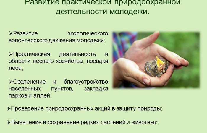 Слайд5